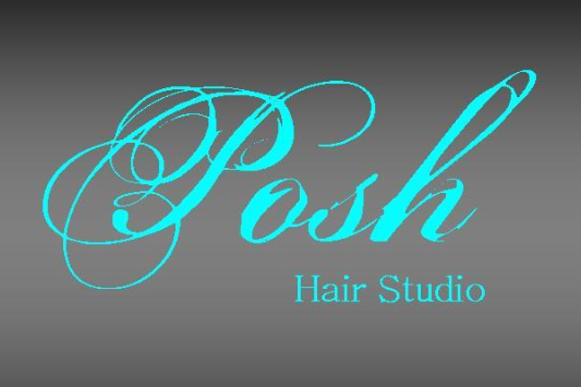 posh hair studio richmond va